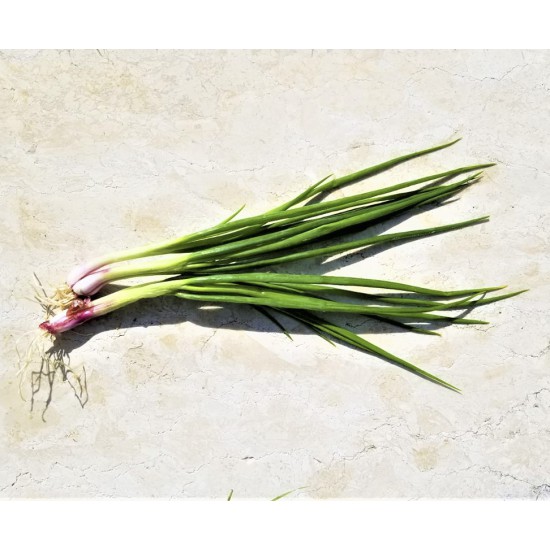 Fresh Green Onion(100g)