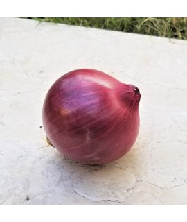 新鮮原個紫洋蔥