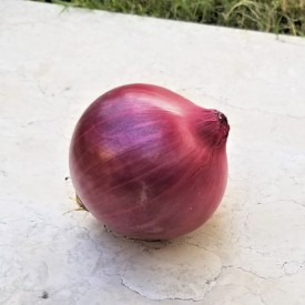 新鮮原個紫洋蔥